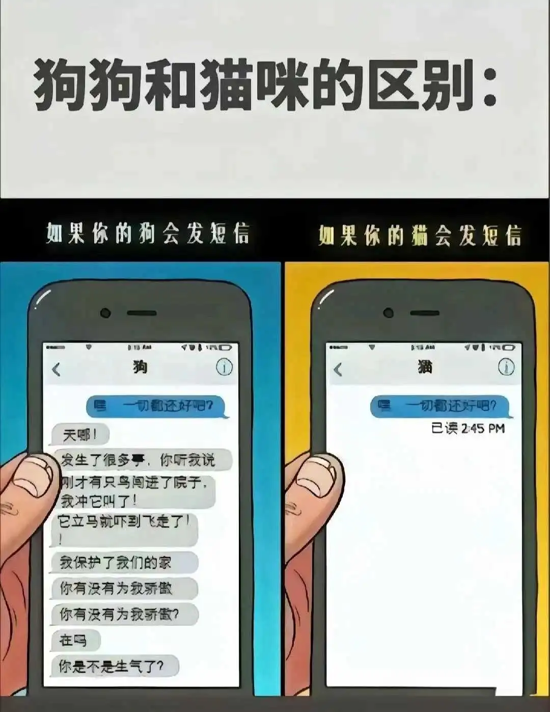 你绝对想不到我和我的伴侣在BDSM的世界里怎么玩儿! 一