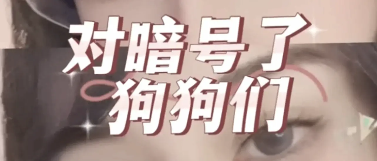 “k8猫系”到底是怎样一种奇妙的存在？ 一