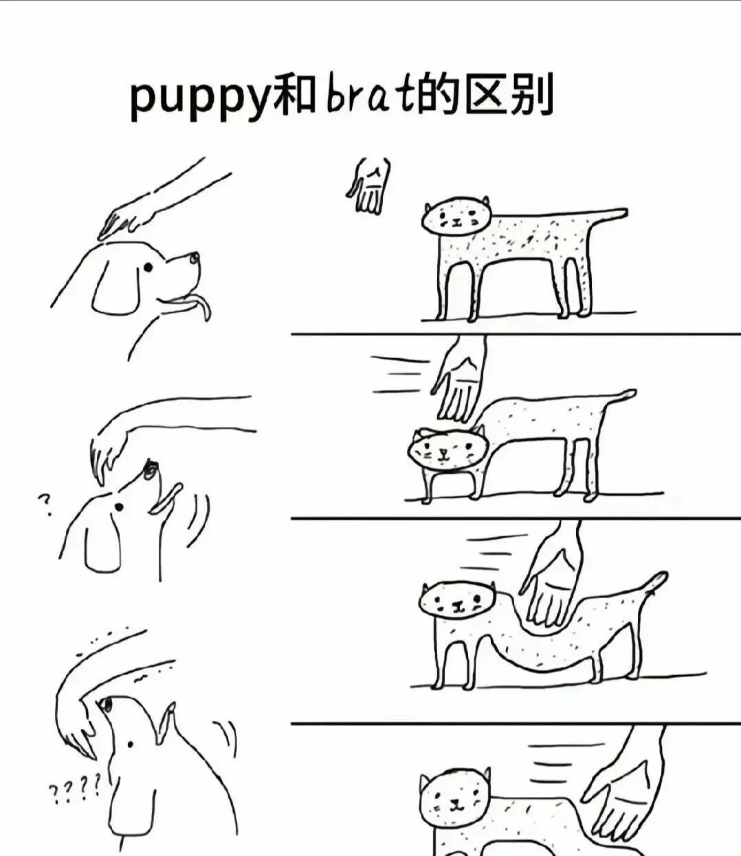 “圣水”到底是什么？它在BDSM圈中的吸引力源于何处？ 一