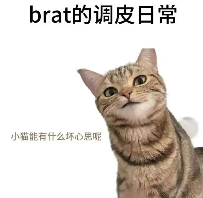 “dirty talk”在情趣交流中究竟意味着什么? 一