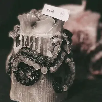 我的迷人DOM伴侣 一